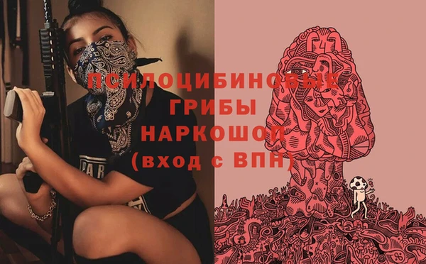 индика Бронницы